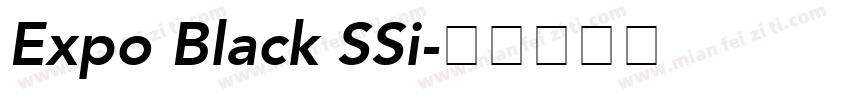 Expo Black SSi字体转换